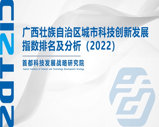 艹大黑逼【成果发布】广西壮族自治区城市科技创新发展指数排名及分析（2022）